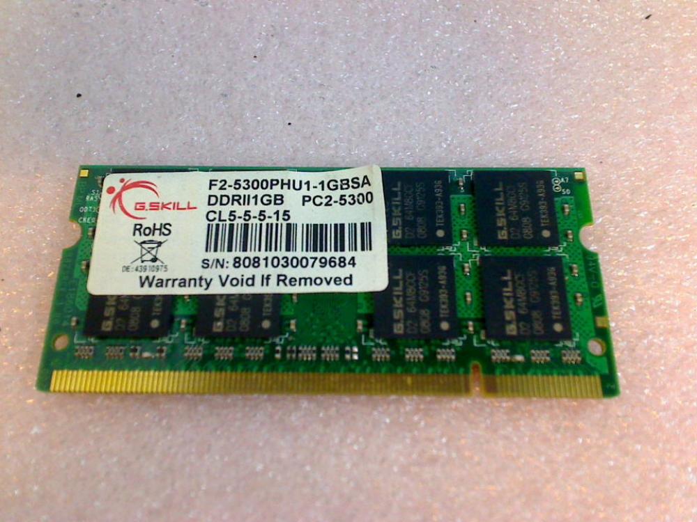 1GB DDR2 memory RAM PC2-5300 G.Skill lynx P53INO Pi1556