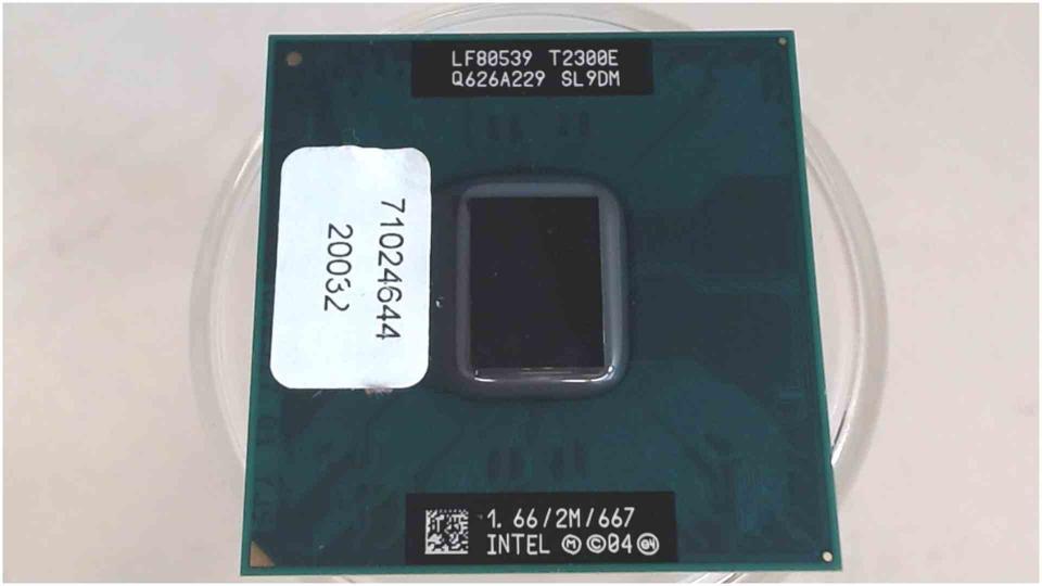 CPU Processor 1.66 GHz Intel Duo T2300E SL9DM Bluechip TW3 EAA-89