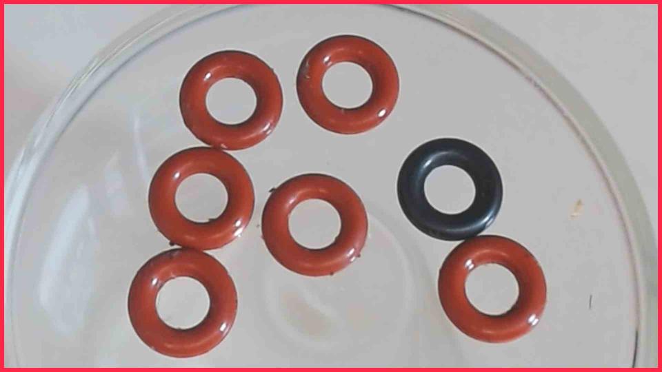 Rubber Seals CAFFEO SOLO E 950-222
