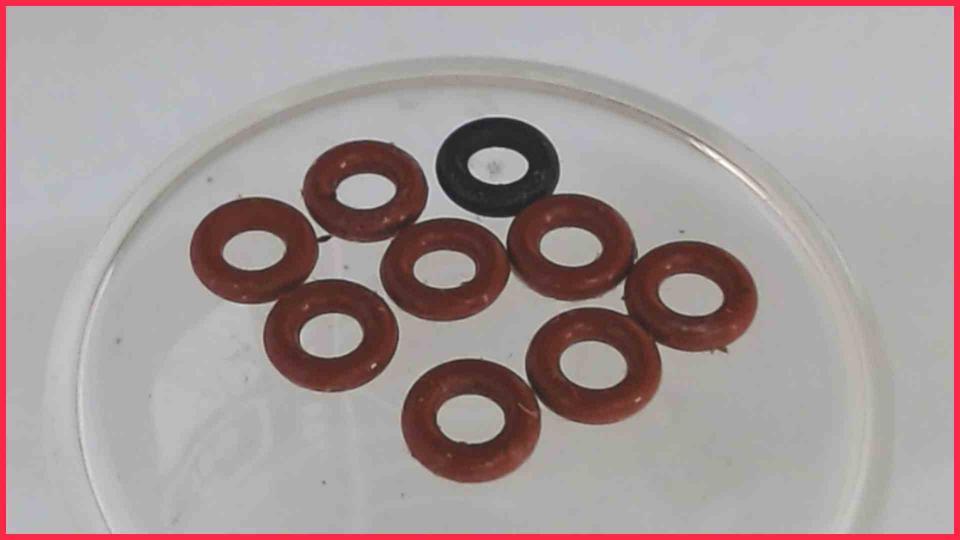 Rubber Seals Diverse CafeRomantica 508 NICR 767