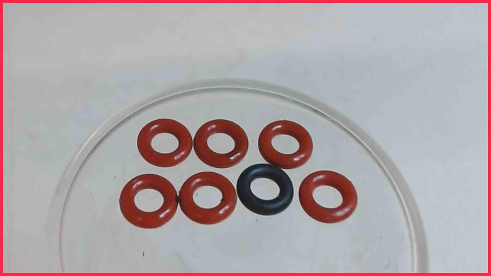 Rubber Seals Diverse Caffeo Barista Typ F73 /0-101