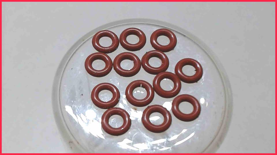 Rubber Seals Diverse Globe Coffee B CR 1068