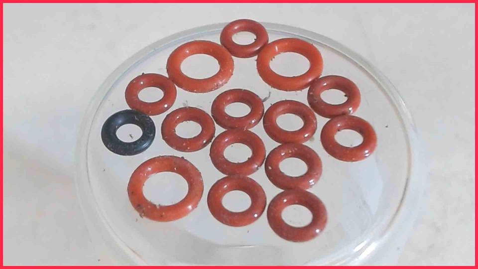 Rubber Seals Diverse Melitta CAFFEO SOLO E957-204