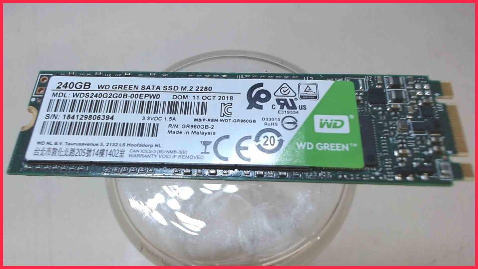 HDD SSD Hard Disk  240GB Smart WDS240G2G0B-00EPW0 (725h)