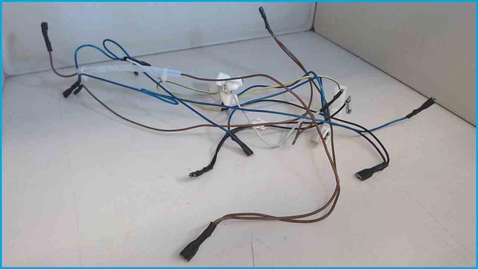 Cable Set + Temperatur Sensor Saeco POEMIA HD8323