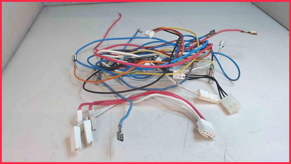 Cable Set Diverse CAFFEO SOLO E950-103 -4