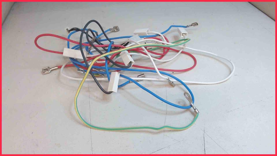 Cable Set Diverse Caffeo Solo E950-222 -4