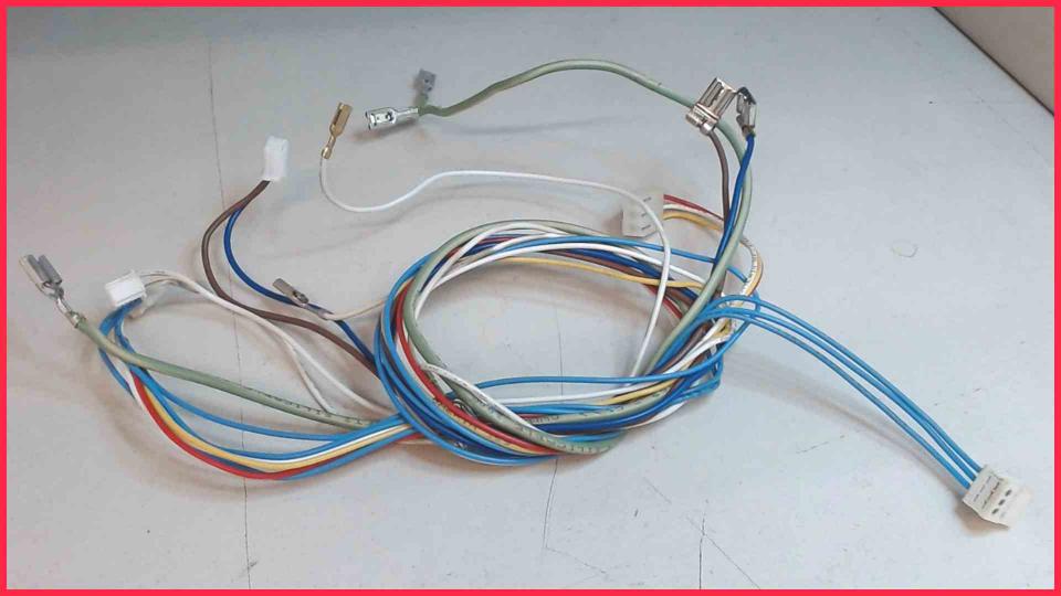 Cable Set Diverse Krups Evidence EA891D10