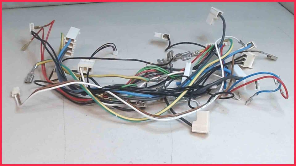 Cable Set Diverse Saeco Moltio HD8769 -2