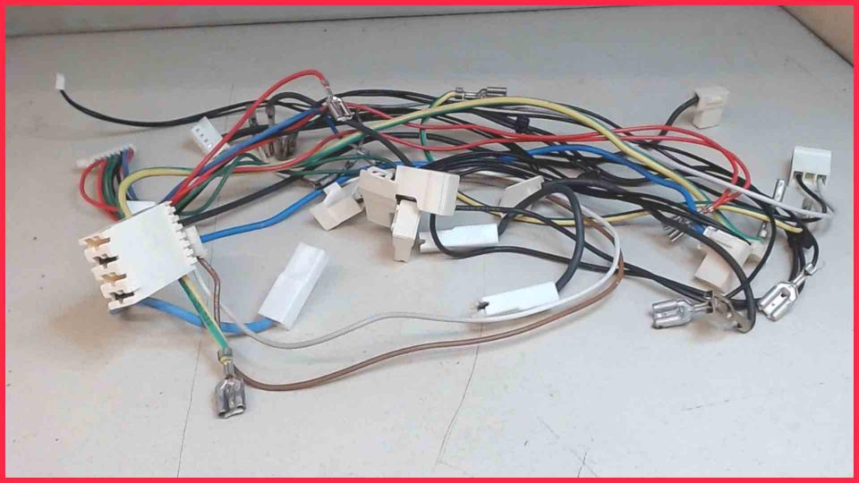 Cable Set Diverse Saeco Moltio HD8869