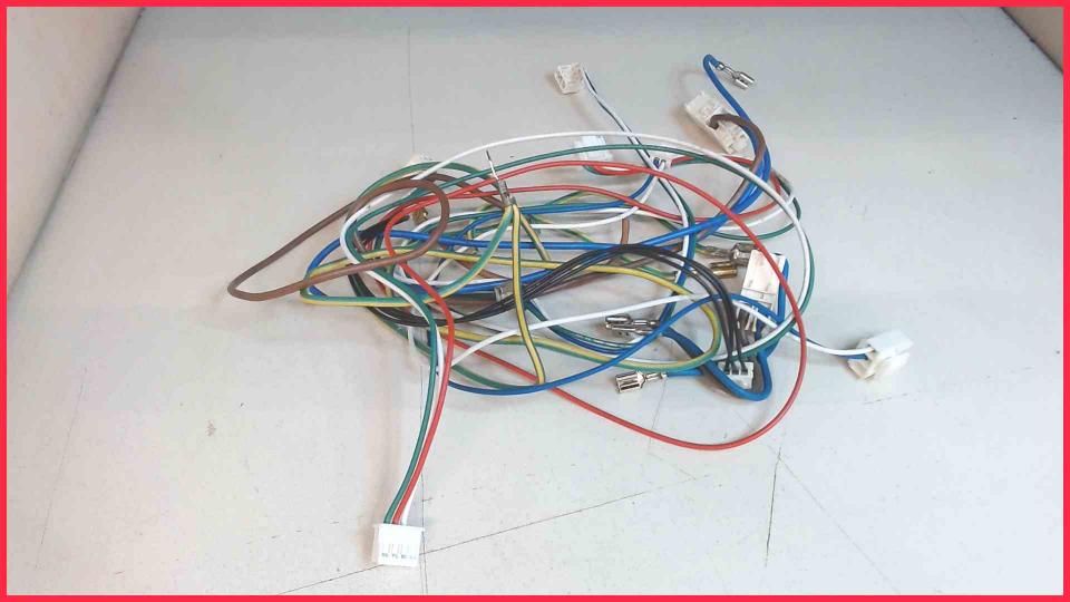 Cable Set Diverse VeroCafe LattePro TES50651DE CTES32