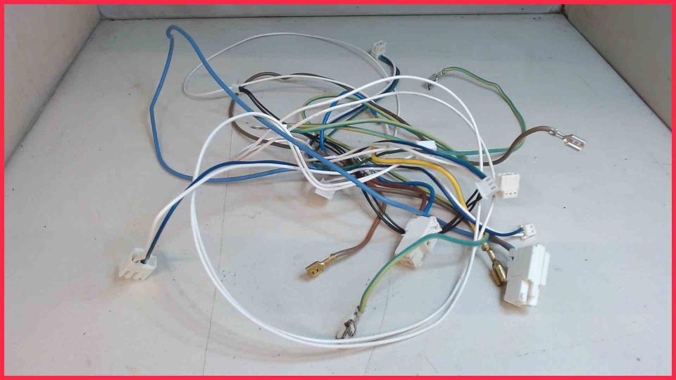 Cable Set Diverse VeroCafe LattePro TES50658DE