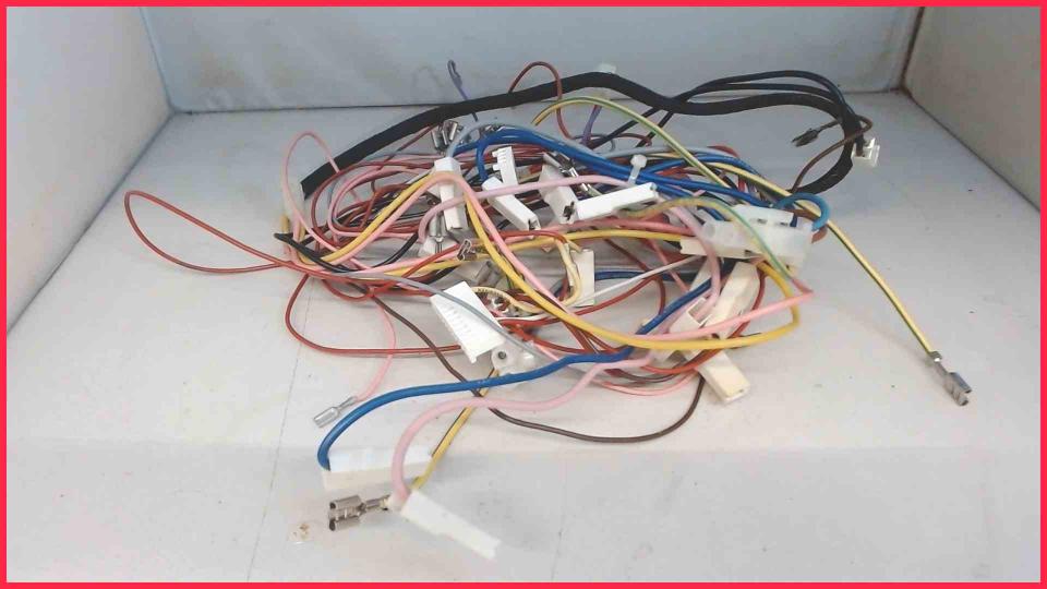 Cable Set Diverse WMF Schaerer siena-2