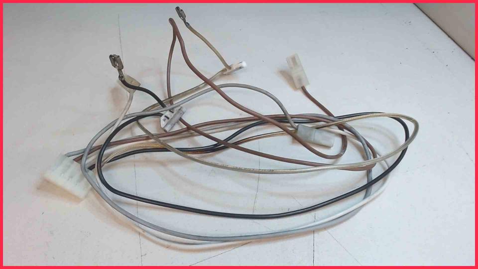 Cable Set Mühlwerkmotor Krups Orchestro FNF2 -2