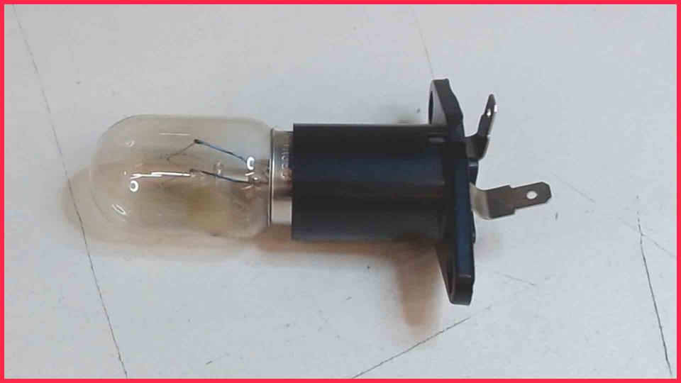 Lampe mit Fassung Studio GT-SO-02