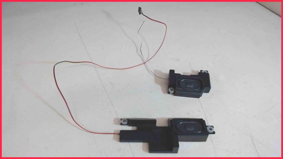 Speaker Boxes Right (R) & Left (L)  Acer TravelMate P2510-M