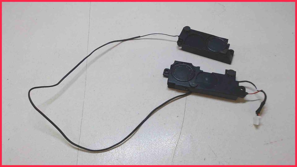 Speaker Boxes Right (R) & Left (L)  Aspire M5-481