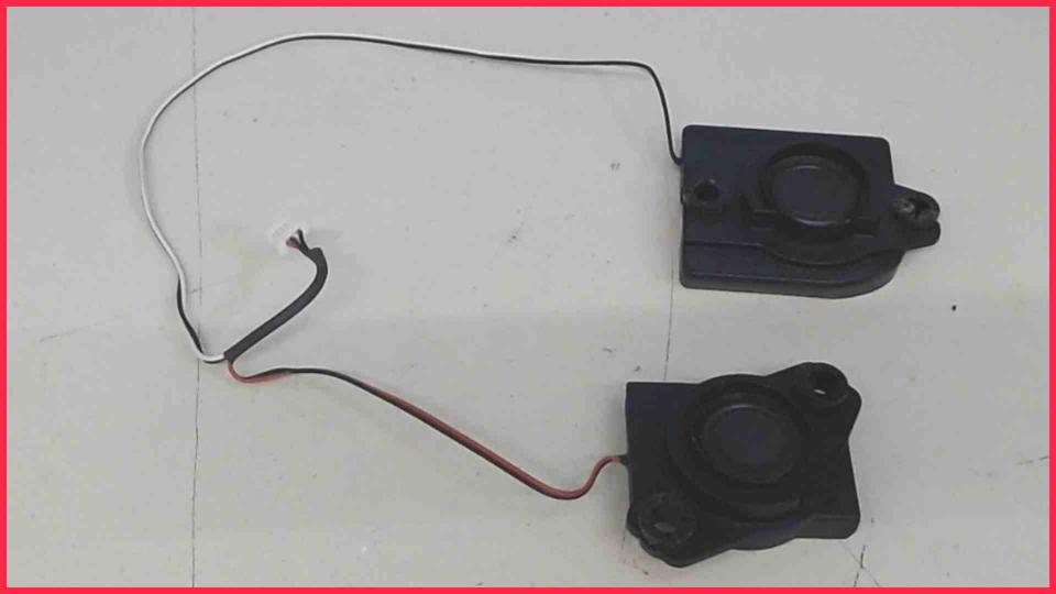Speaker Boxes Right (R) & Left (L)  Asus N71V
