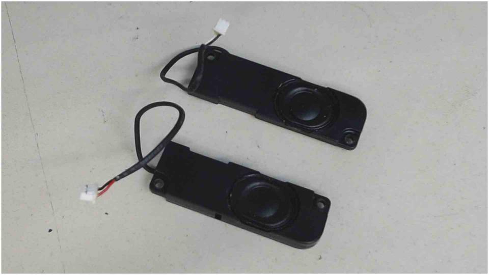Speaker Boxes Right (R) & Left (L) Clevo M765SU