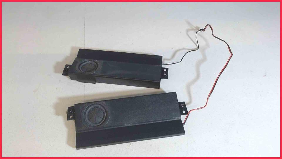 Speaker Boxes Right (R) & Left (L) Clevo MiFCOM P751DM