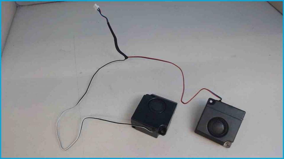 Speaker Boxes Right (R) & Left (L) HIBOX Satellite L300-226