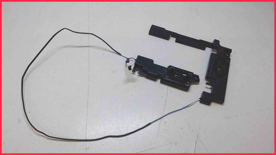 Speaker Boxes Right (R) & Left (L)  Lenovo ThinkPad T450s