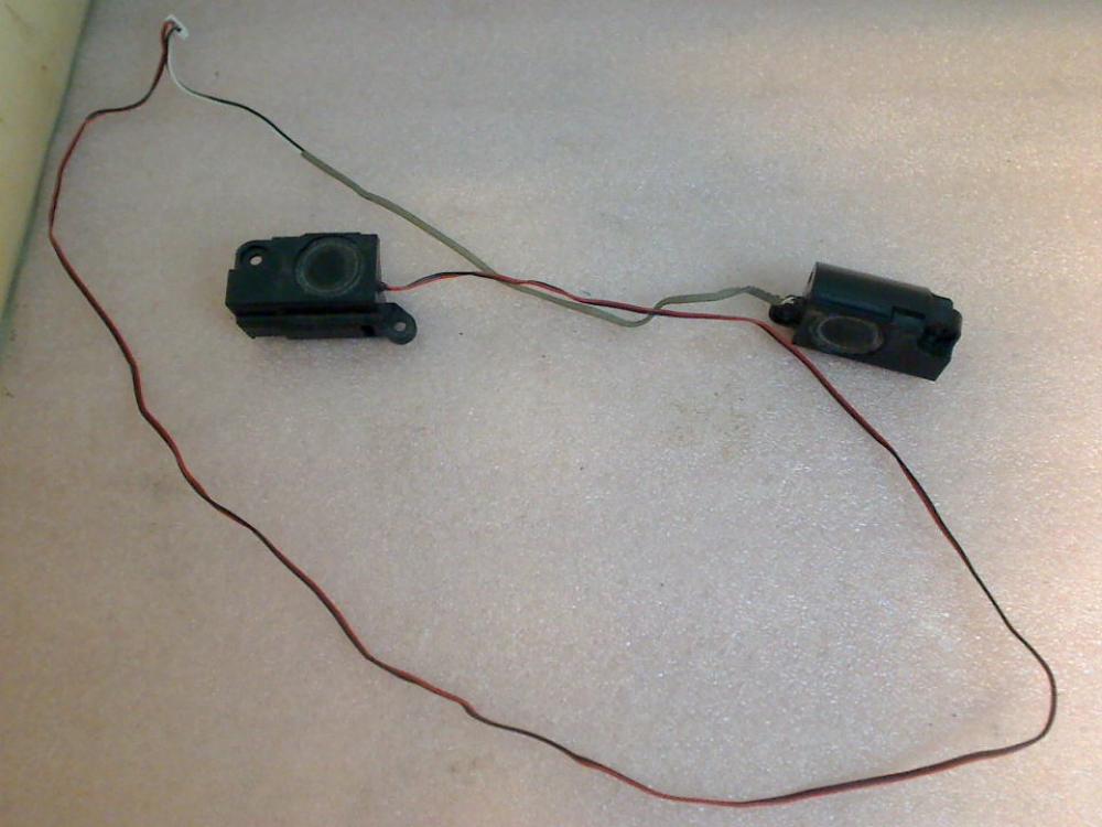 Speaker Boxes Right (R) & Left (L) MSI EX623 MS-1674