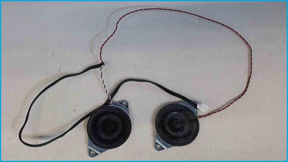 Speaker Boxes Right (R) & Left (L) MSI GX720 MS-1722