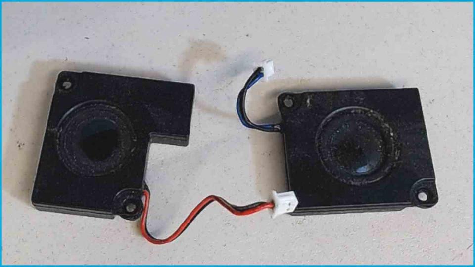 Speaker Boxes Right (R) & Left (L) Medion MD96380 MIM2280 -2
