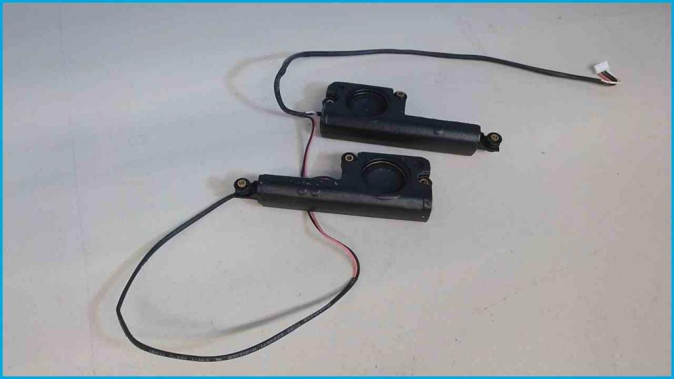 Speaker Boxes Right (R) & Left (L) Sony Vaio PCG-8113M