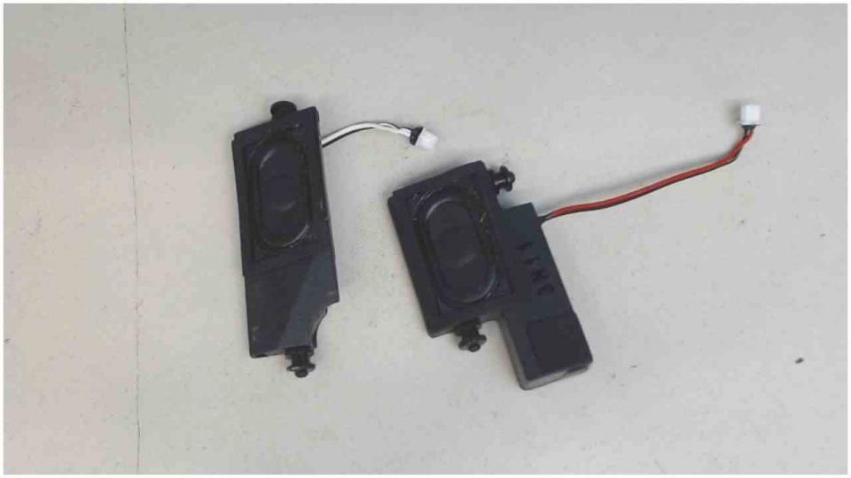 Speaker Boxes Right (R) & Left (L) Terra Mobile 1529 W550EU