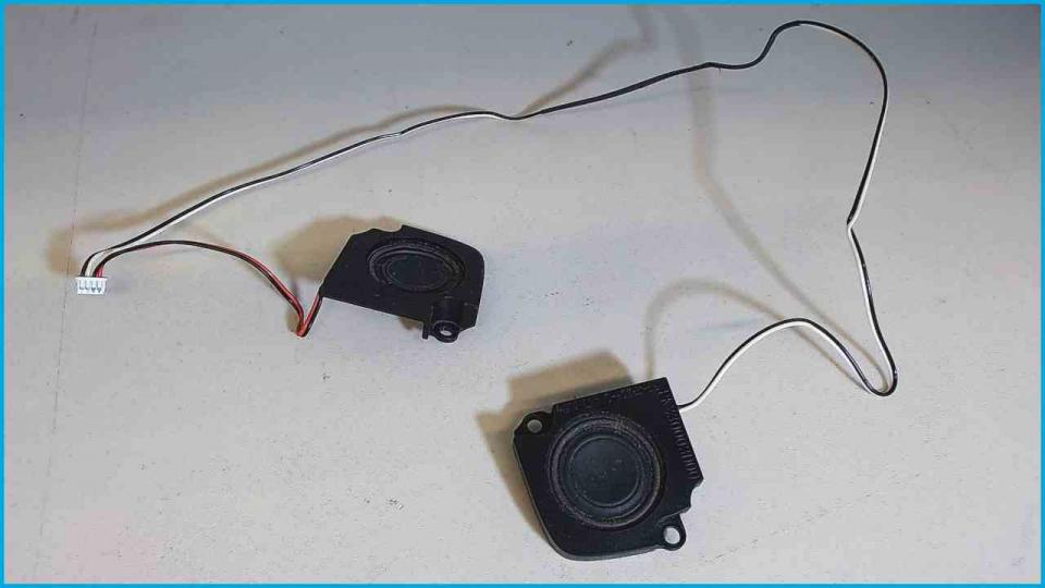 Speaker Boxes Right (R) & Left (L) Toshiba M40X