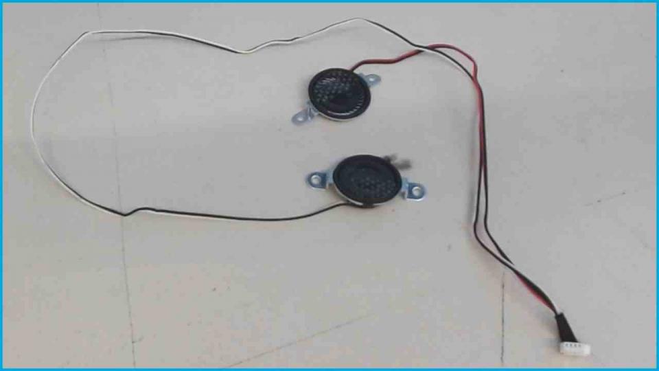 Speaker Boxes Right (R) & Left (L) Vaio VPCCW1S1E PCG-61111M
