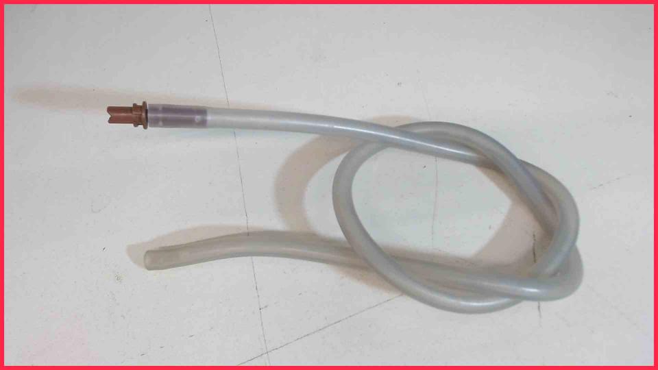 Milk Hose + Stutzen WMF 1000 -6