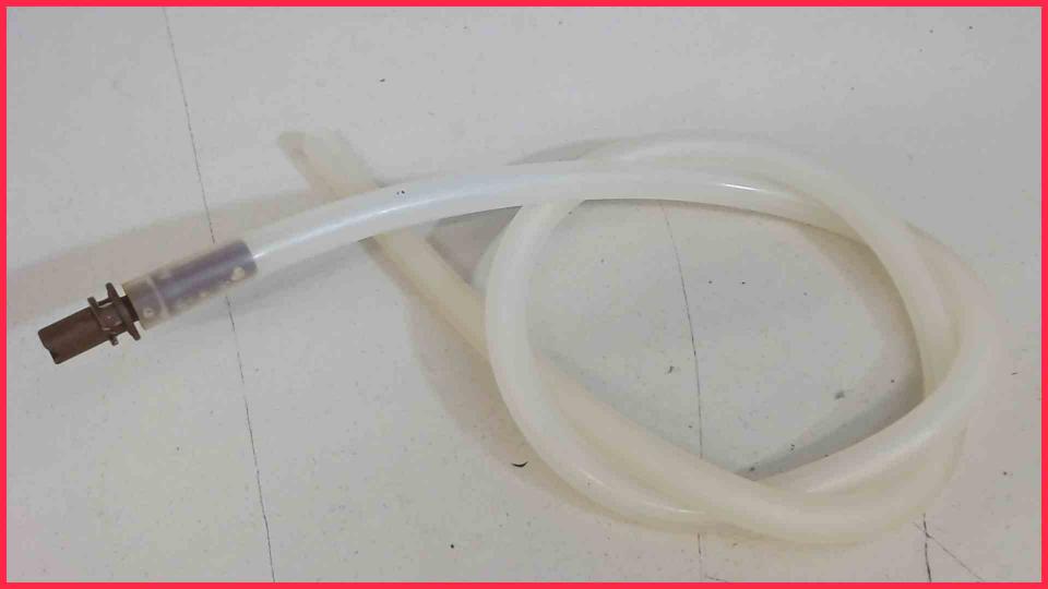 Milk Hose + Stutzen WMF 800