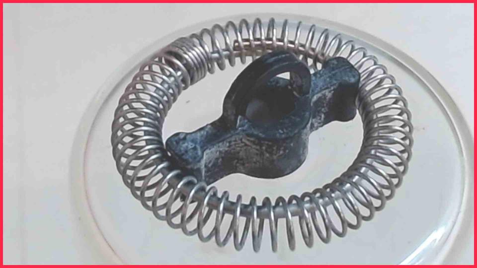Milchaufschäumer Feder Spirale HadinEEon N11