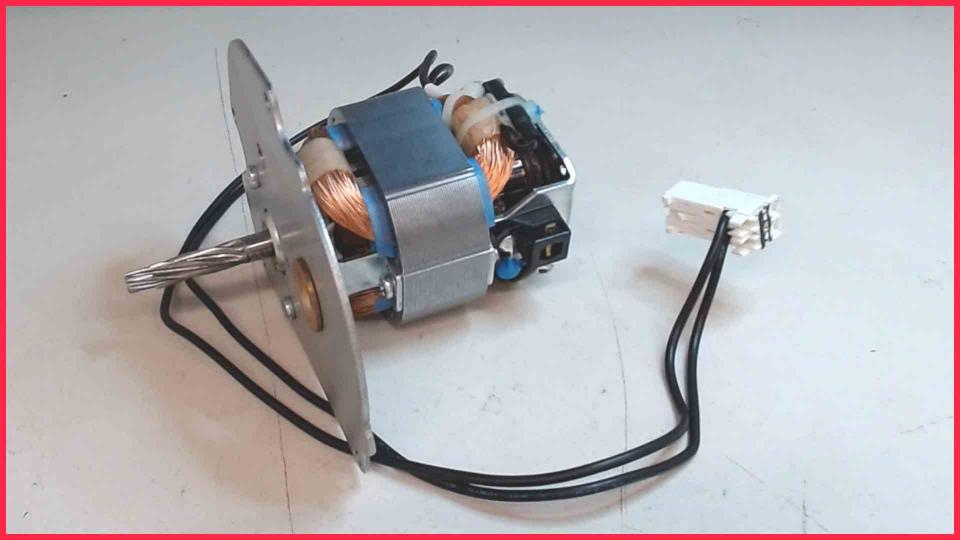 Mill Drive Motor 220-240V Krups EA829810 -2