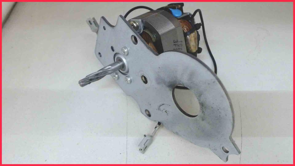 Mill Drive Motor U-5421 230V 50Hz Esperienza EAM3000.B -2