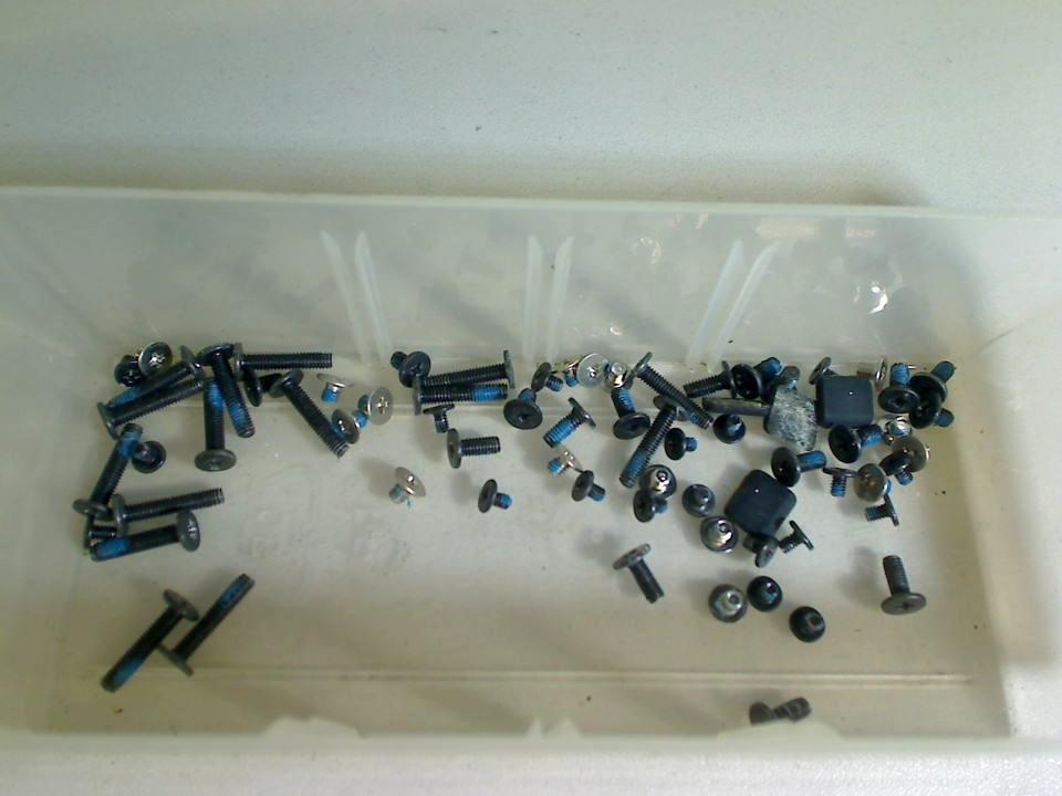 Original screws set + Gummi Pads Acer Aspire 5520G (4)