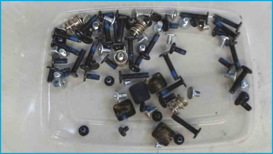 Original screws set + Pads Aspire 7520 ICY70 (10)