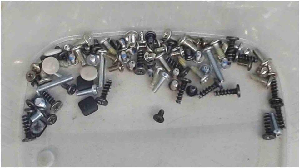 Original screws set + Pads Celsius H240 WB2
