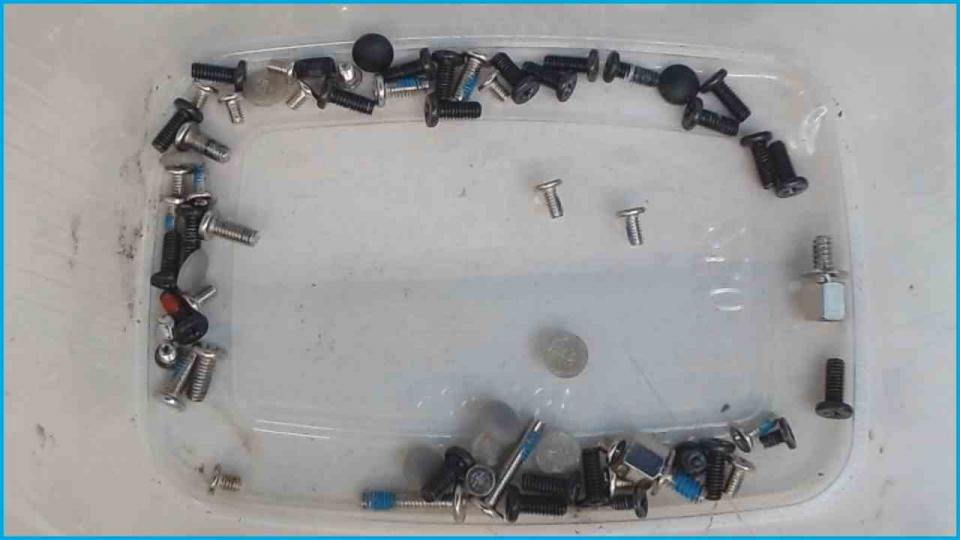 Original screws set + Pads Esprimo V5505 MS2216 -2