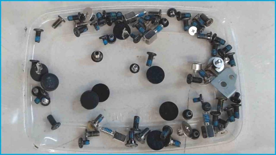 Original screws set + Pads Precision M4300 PP04X