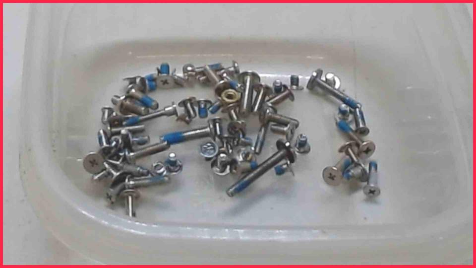 Original screws set  Apple MacBook A1181 -2