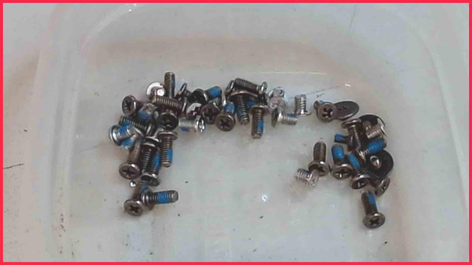 Original screws set Aspire E 17 E5-721-23FA ZYV