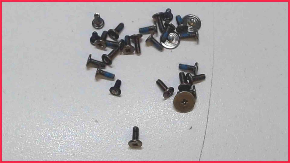 Original screws set  Aspire E11 E3-111-C6LG ZHJ