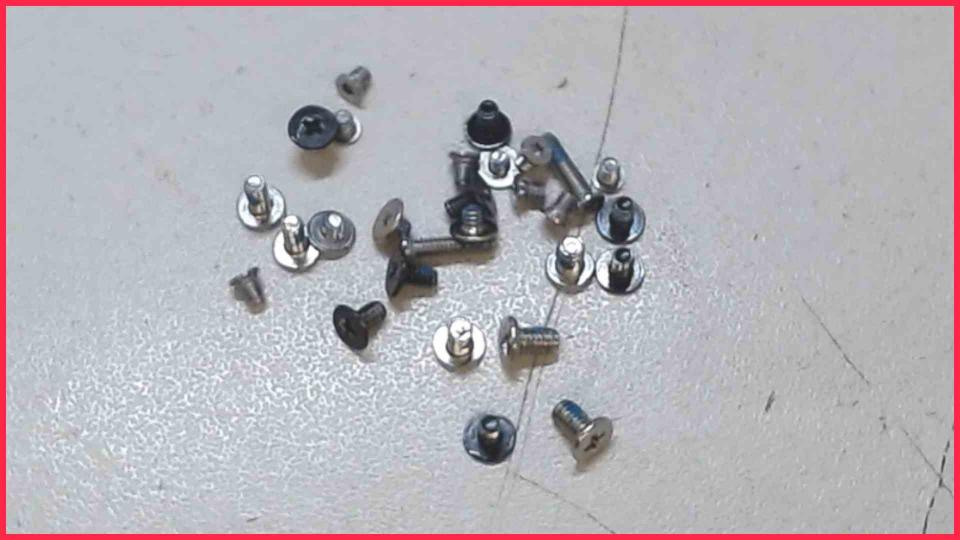 Original screws set  Asus Zenbook UX21E