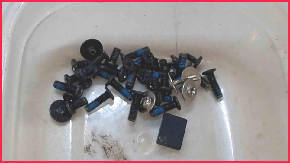 Original screws set  Dell Inspiron 13z