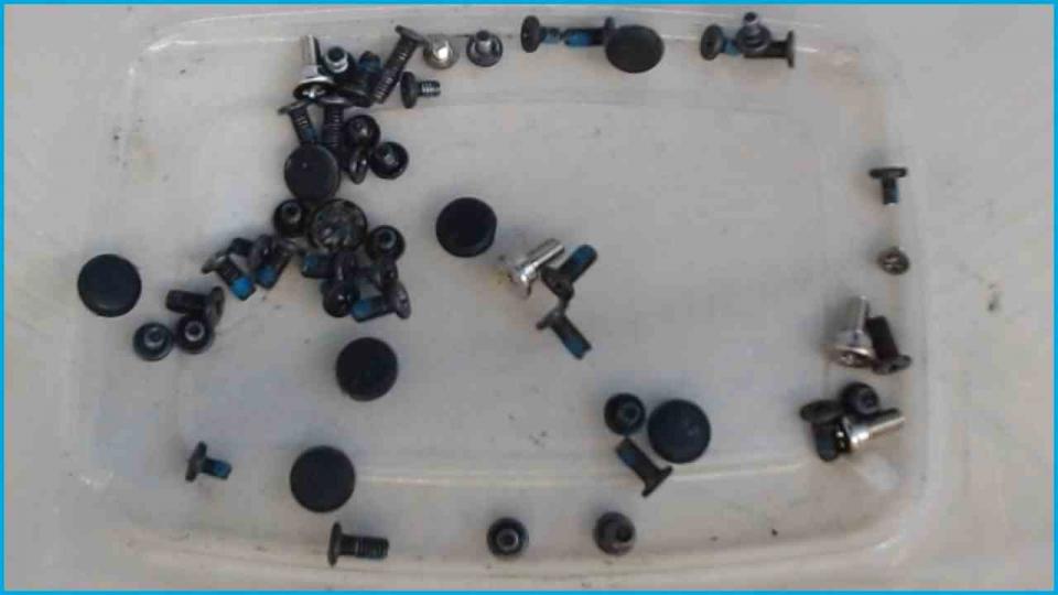Original screws set Diverse + Pads Dell Vostro 1710 PP36X
