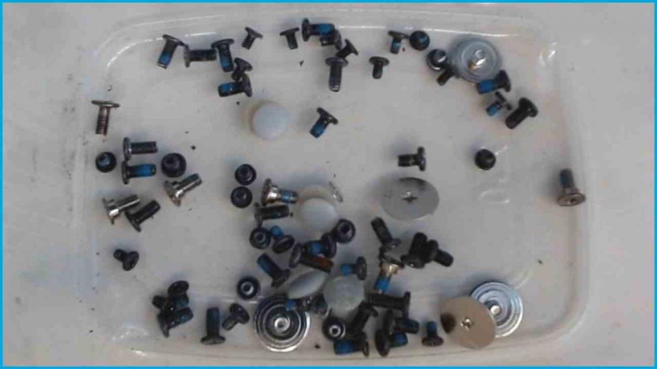 Original screws set Diverse + Pads Inspiron 1525 PP29L -2